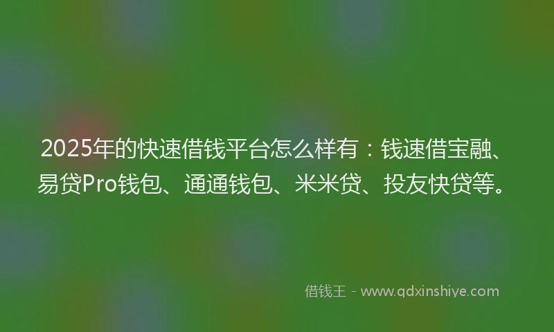 2025年的快速借钱平台怎么样有：钱速借宝融、易贷Pro钱包、通通钱包、米米贷、投友快贷等。