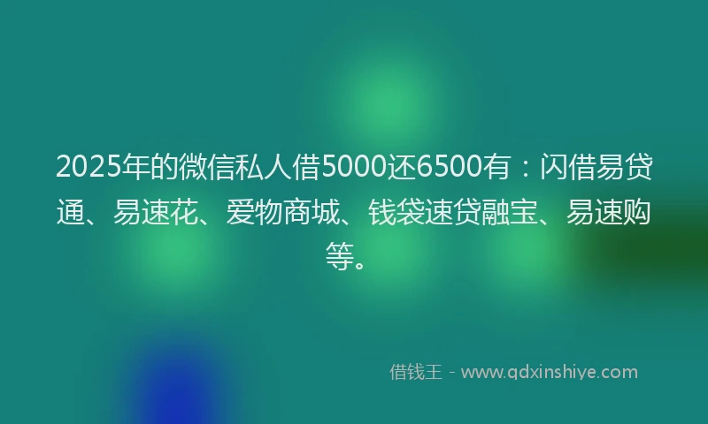 2025年的微信私人借5000还6500有：闪借易贷通、易速花、爱物商城、钱袋速贷融宝、易速购等。