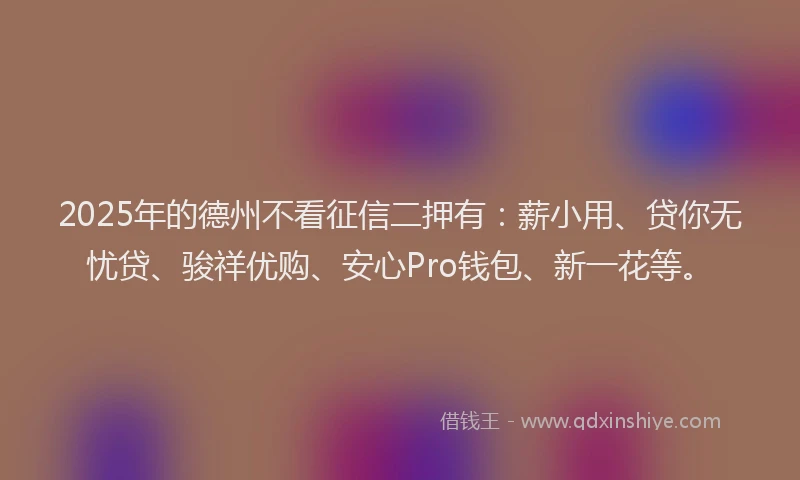 2025年的德州不看征信二押有：薪小用、贷你无忧贷、骏祥优购、安心Pro钱包、新一花等。