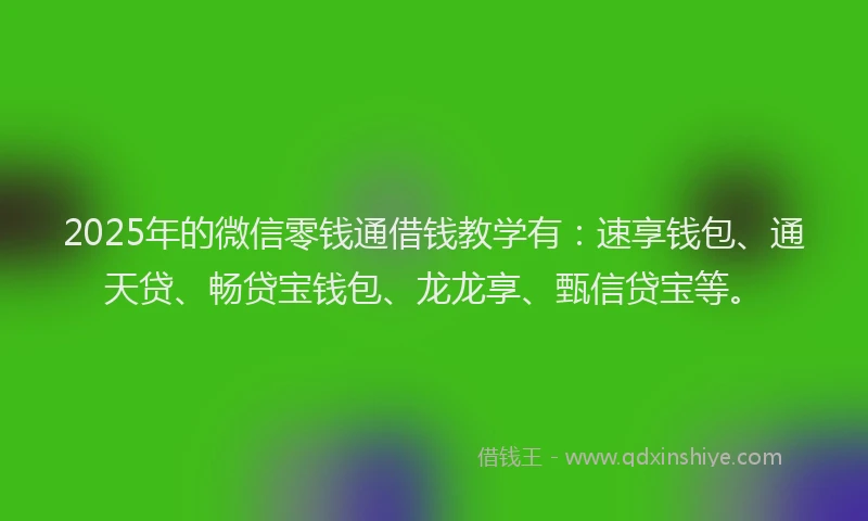 2025年的微信零钱通借钱教学有：速享钱包、通天贷、畅贷宝钱包、龙龙享、甄信贷宝等。