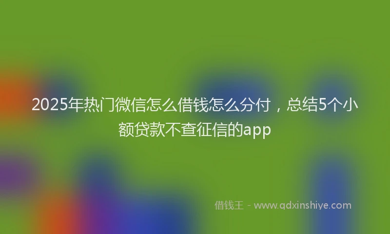 2025年热门微信怎么借钱怎么分付，总结5个小额贷款不查征信的app