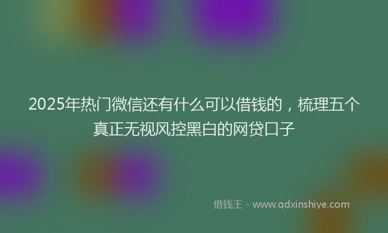 2025年热门微信还有什么可以借钱的,梳理五个真正无视风控黑白的网贷口子
