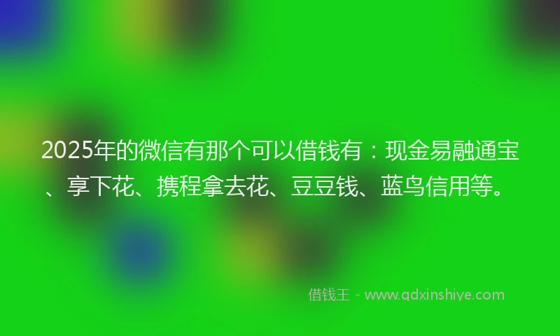 2025年的微信有那个可以借钱有：现金易融通宝、享下花、携程拿去花、豆豆钱、蓝鸟信用等。