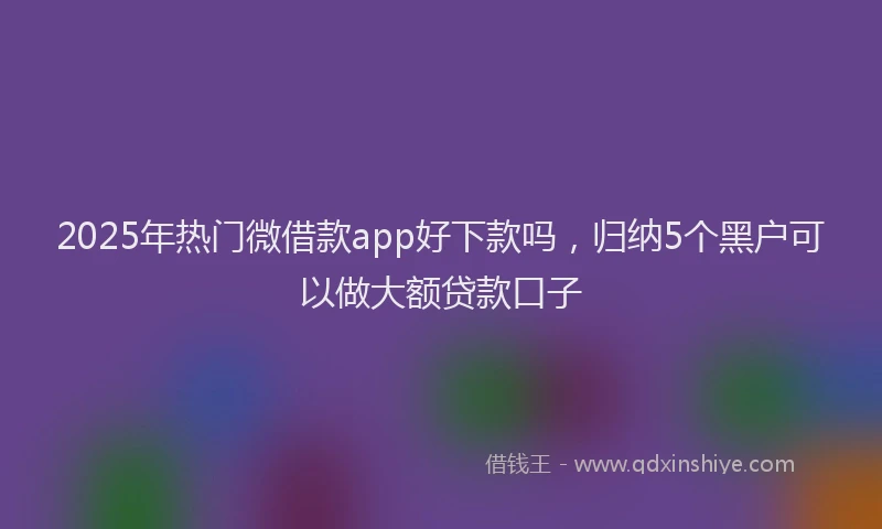 2025年热门微借款app好下款吗，归纳5个黑户可以做大额贷款口子