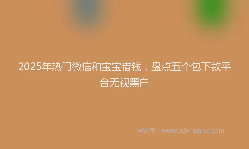 2025年热门微信和宝宝借钱，盘点五个包下款平台无视黑白