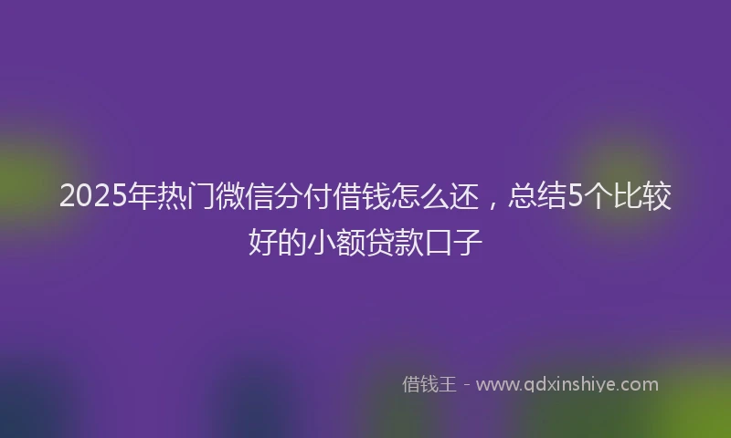 2025年热门微信分付借钱怎么还，总结5个比较好的小额贷款口子