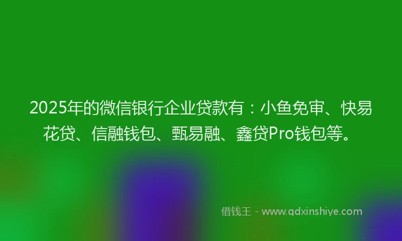 2025年的微信银行企业贷款有：小鱼免审、快易花贷、信融钱包、甄易融、鑫贷Pro钱包等。