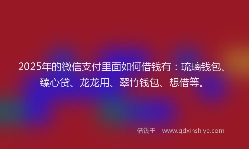 2025年的微信支付里面如何借钱有：琉璃钱包、臻心贷、龙龙用、翠竹钱包、想借等。