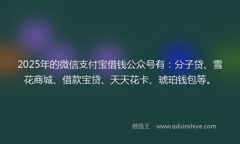 2025年的微信支付宝借钱公众号有：分子贷、雪花商城、借款宝贷、天天花卡、琥珀钱包等。