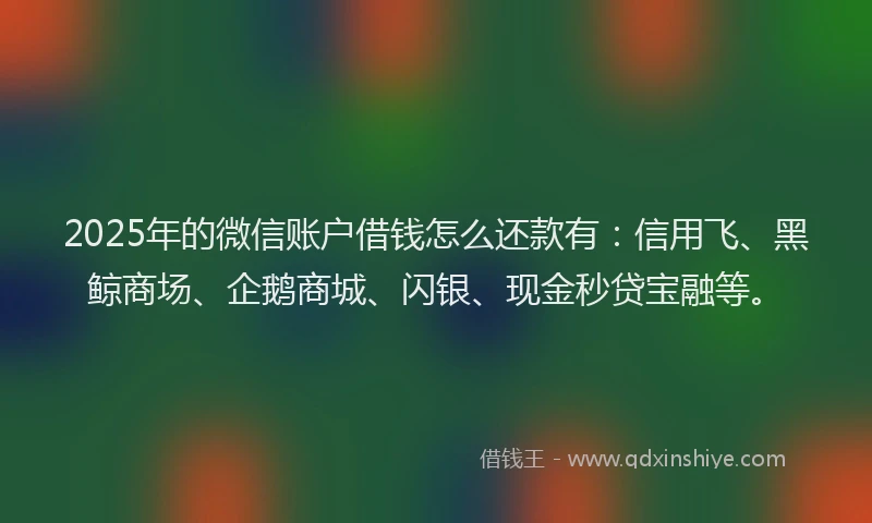 2025年的微信账户借钱怎么还款有：信用飞、黑鲸商场、企鹅商城、闪银、现金秒贷宝融等。