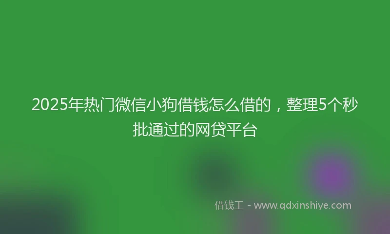 2025年热门微信小狗借钱怎么借的，整理5个秒批通过的网贷平台