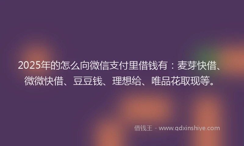 2025年的怎么向微信支付里借钱有:麦芽快借、微微快借、豆豆钱、理想给、唯品花取现等。