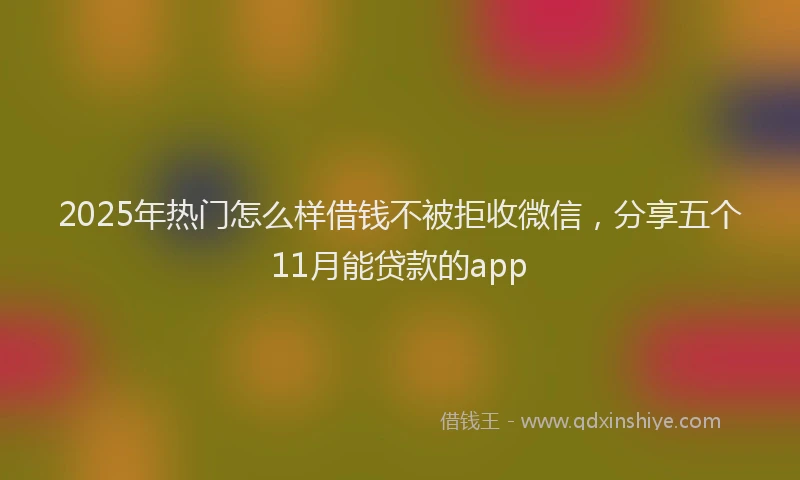2025年热门怎么样借钱不被拒收微信，分享五个11月能贷款的app
