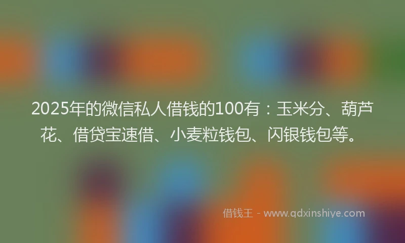 2025年的微信私人借钱的100有：玉米分、葫芦花、借贷宝速借、小麦粒钱包、闪银钱包等。