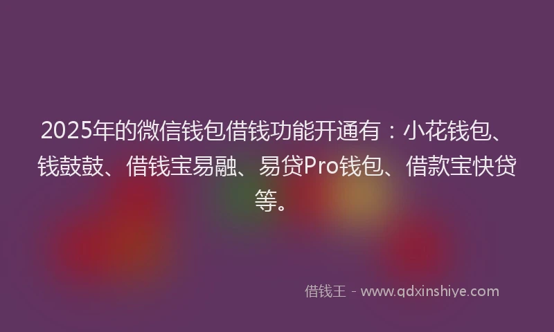 2025年的微信钱包借钱功能开通有:小花钱包、钱鼓鼓、借钱宝易融、易贷Pro钱包、借款宝快贷等。
