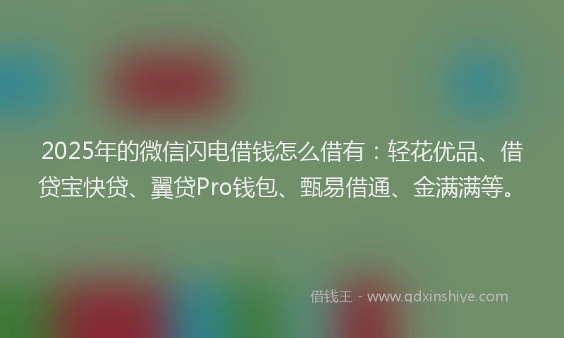 2025年的微信闪电借钱怎么借有：轻花优品、借贷宝快贷、翼贷Pro钱包、甄易借通、金满满等。