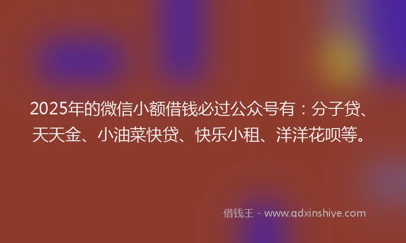2025年的微信小额借钱必过公众号有：分子贷、天天金、小油菜快贷、快乐小租、洋洋花呗等。