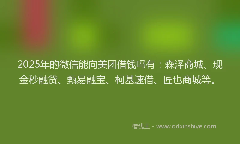2025年的微信能向美团借钱吗有：森泽商城、现金秒融贷、甄易融宝、柯基速借、匠也商城等。