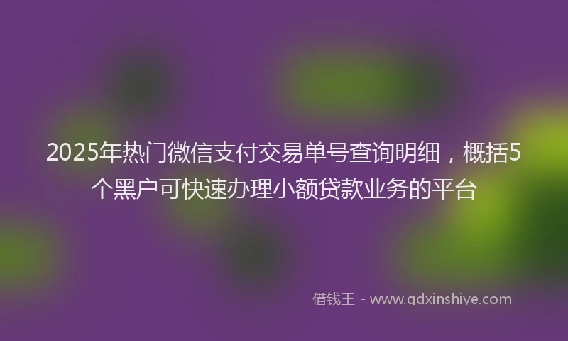 2025年热门微信支付交易单号查询明细，概括5个黑户可快速办理小额贷款业务的平台