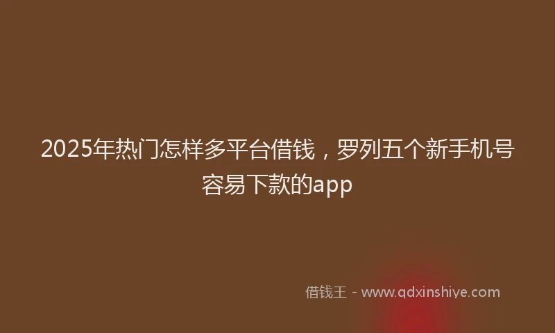 2025年热门怎样多平台借钱，罗列五个新手机号容易下款的app