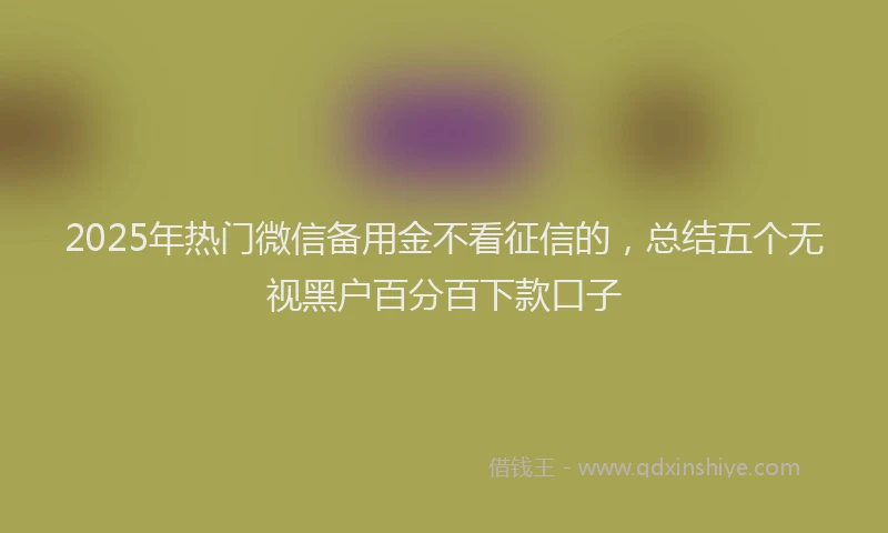 2025年热门微信备用金不看征信的，总结五个无视黑户百分百下款口子