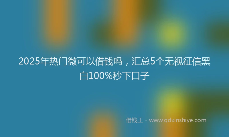 2025年热门微可以借钱吗，汇总5个无视征信黑白100%秒下口子