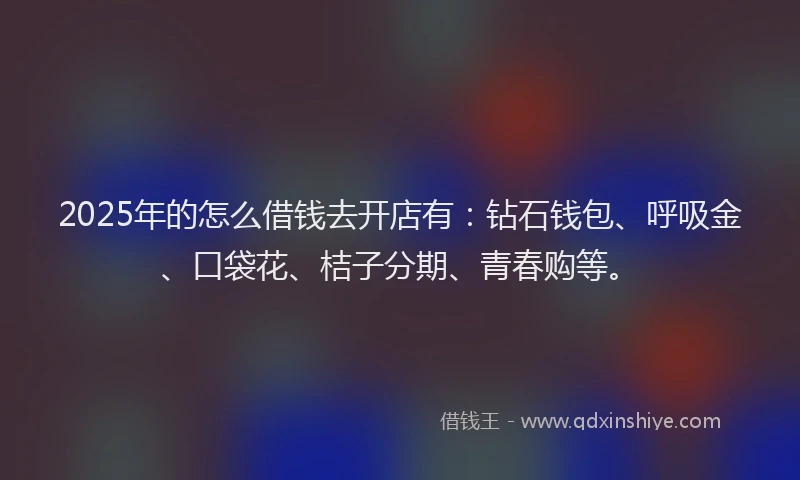 2025年的怎么借钱去开店有：钻石钱包、呼吸金、口袋花、桔子分期、青春购等。