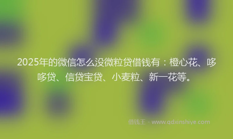 2025年的微信怎么没微粒贷借钱有：橙心花、哆哆贷、信贷宝贷、小麦粒、新一花等。