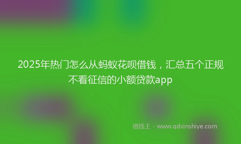 2025年热门怎么从蚂蚁花呗借钱，汇总五个正规不看征信的小额贷款app