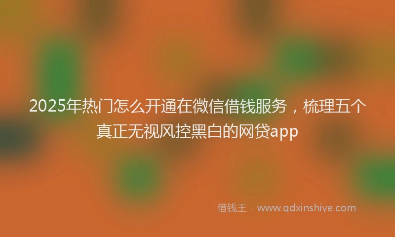 2025年热门怎么开通在微信借钱服务,梳理五个真正无视风控黑白的网贷app