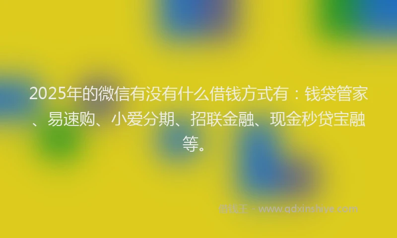 2025年的微信有没有什么借钱方式有：钱袋管家、易速购、小爱分期、招联金融、现金秒贷宝融等。