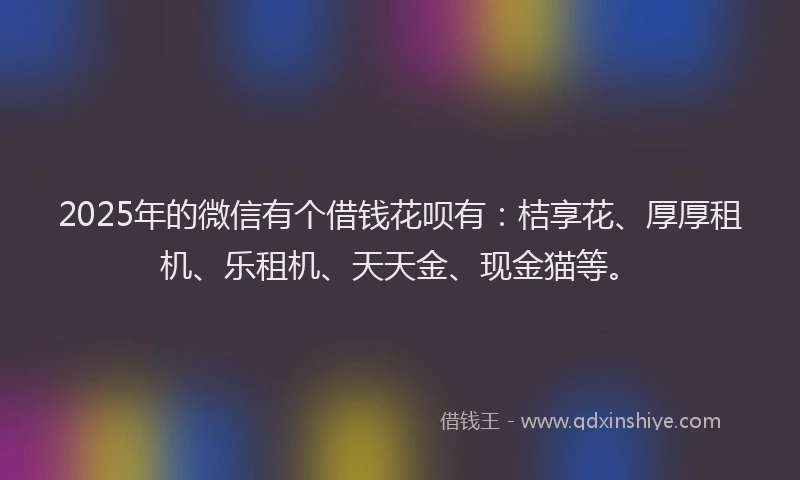 2025年的微信有个借钱花呗有：桔享花、厚厚租机、乐租机、天天金、现金猫等。