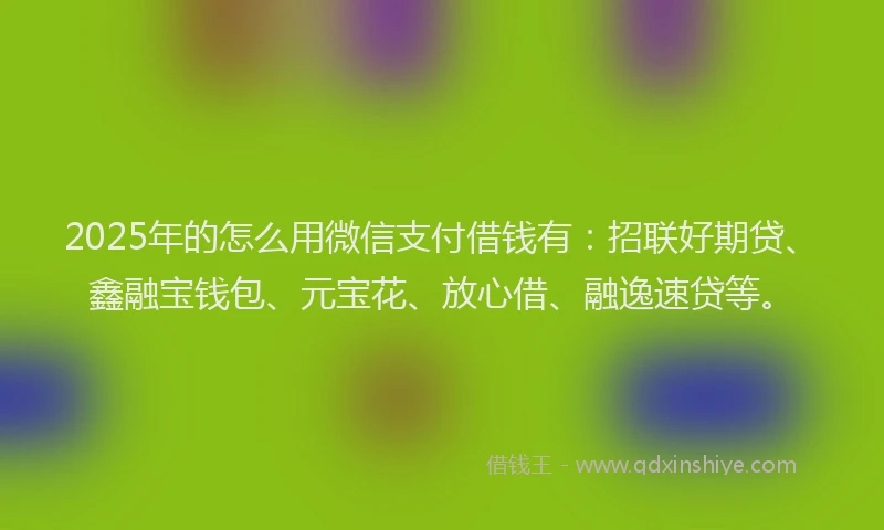 2025年的怎么用微信支付借钱有：招联好期贷、鑫融宝钱包、元宝花、放心借、融逸速贷等。