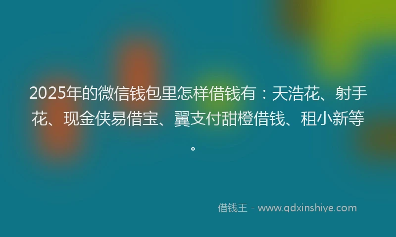 2025年的微信钱包里怎样借钱有：天浩花、射手花、现金侠易借宝、翼支付甜橙借钱、租小新等。