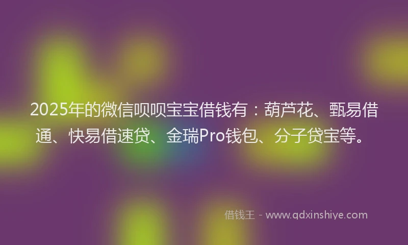 2025年的微信呗呗宝宝借钱有：葫芦花、甄易借通、快易借速贷、金瑞Pro钱包、分子贷宝等。