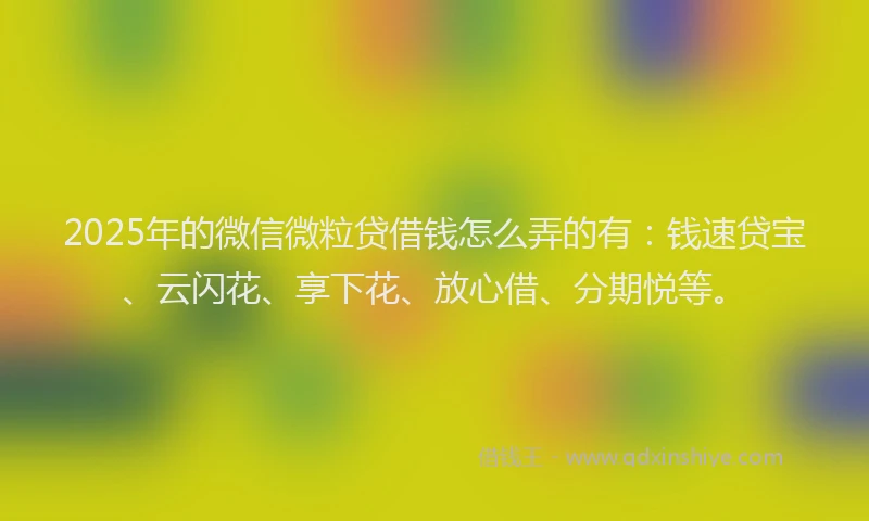 2025年的微信微粒贷借钱怎么弄的有：钱速贷宝、云闪花、享下花、放心借、分期悦等。