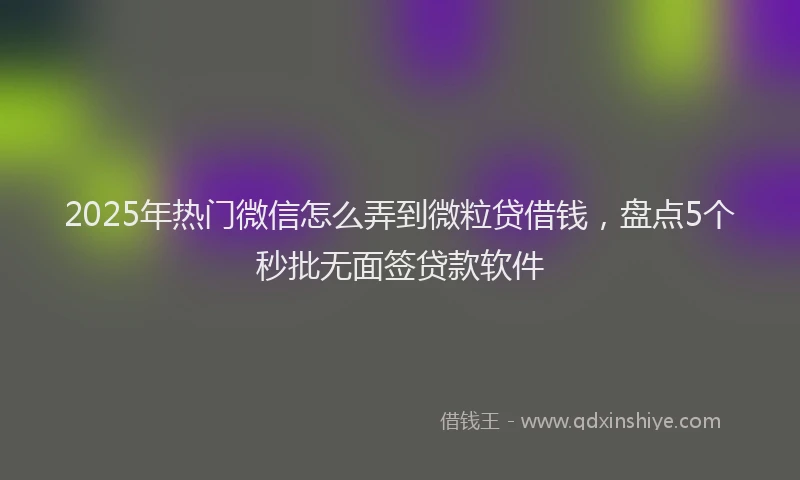 2025年热门微信怎么弄到微粒贷借钱，盘点5个秒批无面签贷款软件