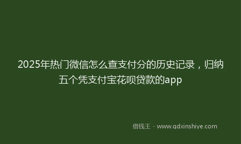 2025年热门微信怎么查支付分的历史记录，归纳五个凭支付宝花呗贷款的app