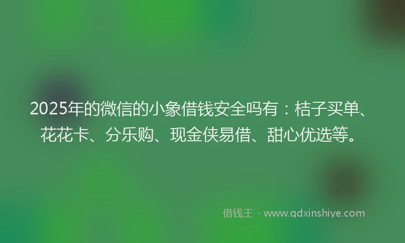 2025年的微信的小象借钱安全吗有：桔子买单、花花卡、分乐购、现金侠易借、甜心优选等。