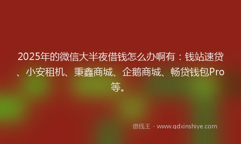 2025年的微信大半夜借钱怎么办啊有：钱站速贷、小安租机、秉鑫商城、企鹅商城、畅贷钱包Pro等。