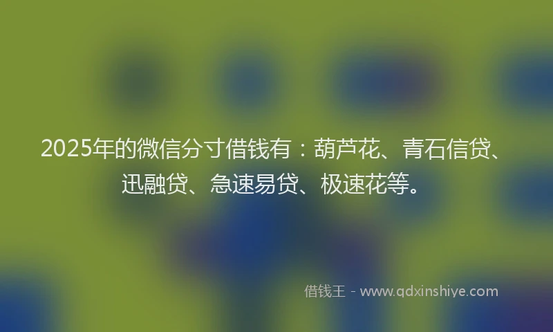 2025年的微信分寸借钱有：葫芦花、青石信贷、迅融贷、急速易贷、极速花等。