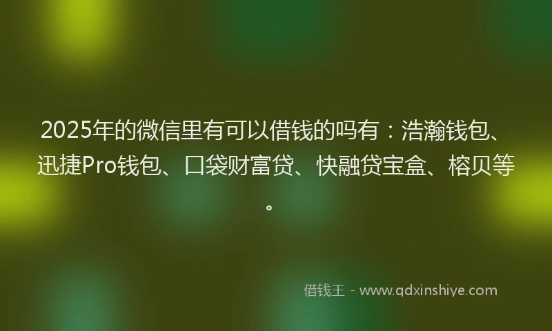 2025年的微信里有可以借钱的吗有：浩瀚钱包、迅捷Pro钱包、口袋财富贷、快融贷宝盒、榕贝等。