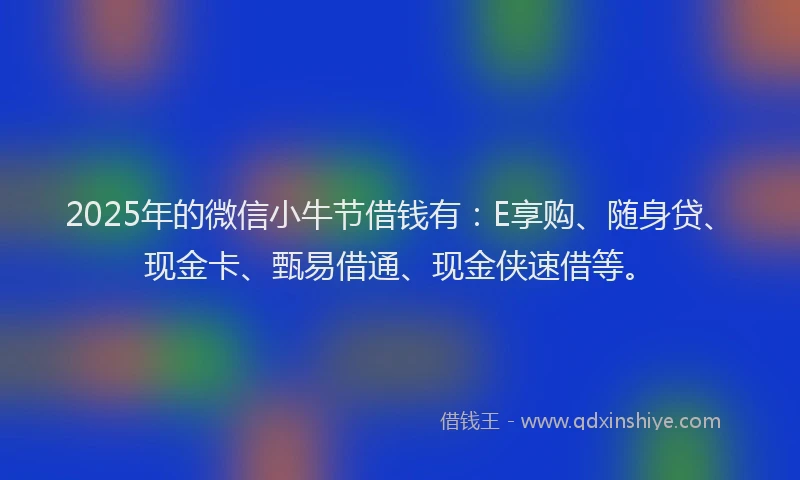 2025年的微信小牛节借钱有：E享购、随身贷、现金卡、甄易借通、现金侠速借等。