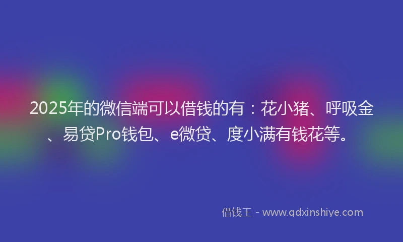 2025年的微信端可以借钱的有：花小猪、呼吸金、易贷Pro钱包、e微贷、度小满有钱花等。