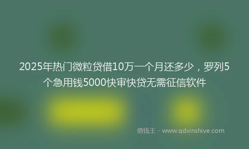 2025年热门微粒贷借10万一个月还多少,罗列5个急用钱5000快审快贷无需征信软件