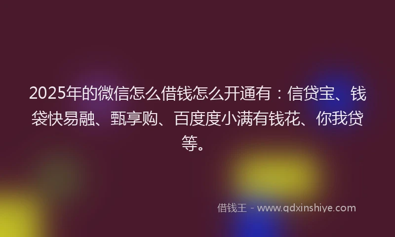2025年的微信怎么借钱怎么开通有：信贷宝、钱袋快易融、甄享购、百度度小满有钱花、你我贷等。
