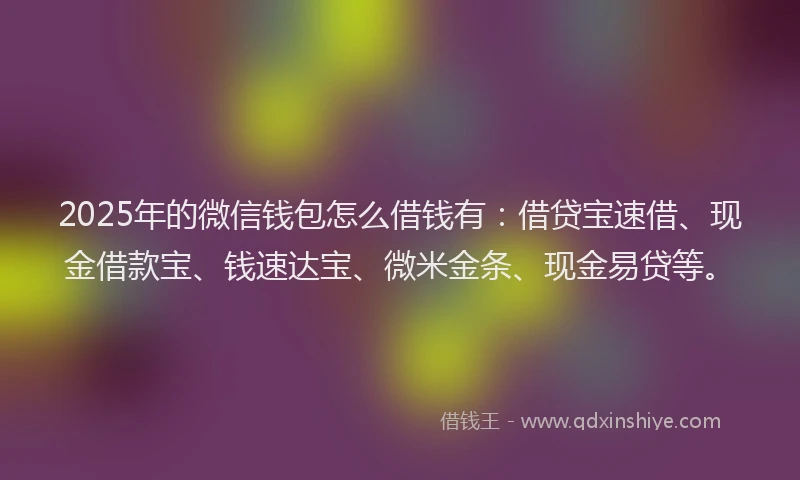 2025年的微信钱包怎么借钱有：借贷宝速借、现金借款宝、钱速达宝、微米金条、现金易贷等。