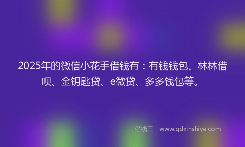 2025年的微信小花手借钱有：有钱钱包、林林借呗、金钥匙贷、e微贷、多多钱包等。