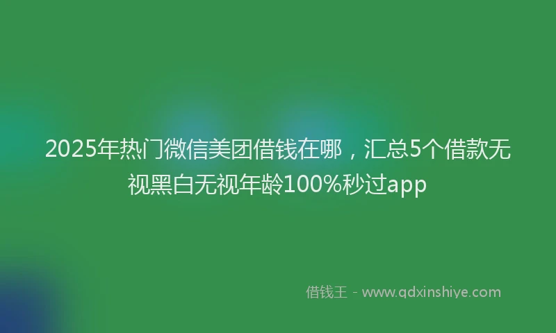 2025年热门微信美团借钱在哪，汇总5个借款无视黑白无视年龄100%秒过app