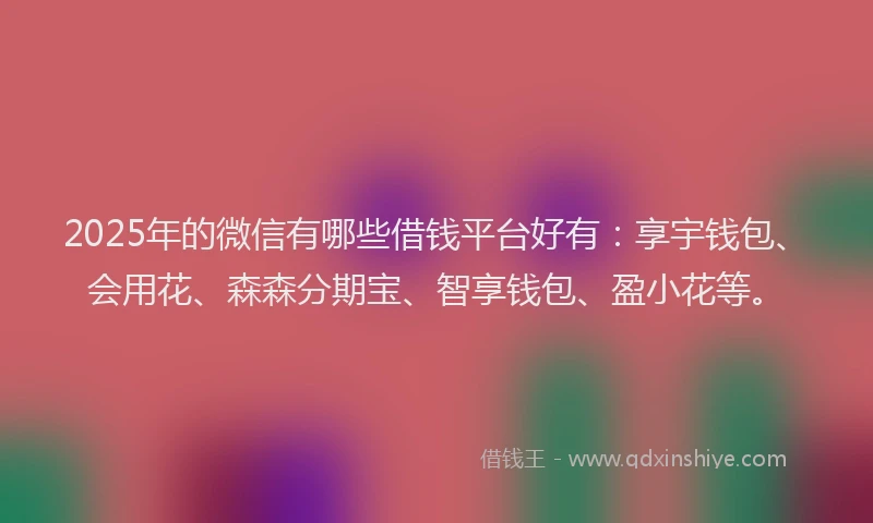 2025年的微信有哪些借钱平台好有：享宇钱包、会用花、森森分期宝、智享钱包、盈小花等。